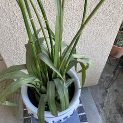 Beautiful Ceramic Pot Fake Planter Excellent Condition $12 