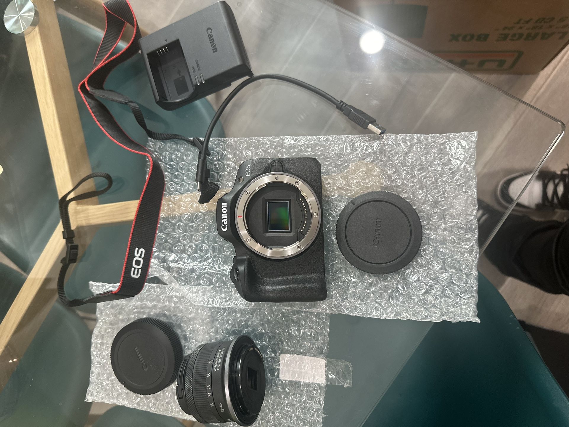 Canon EOS R100