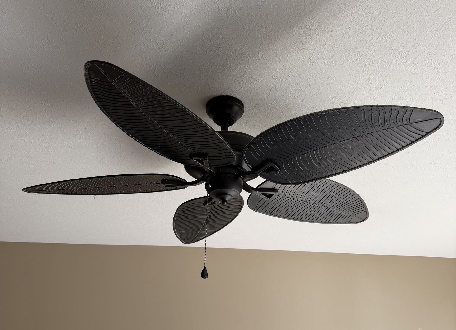 Ceiling Fan
