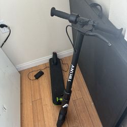 Electric Scooter For Beginners 