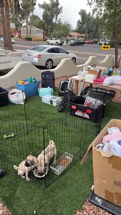 Sale