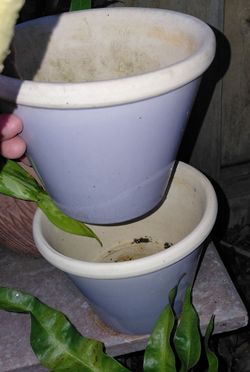 Purple houseplant pots with drainage
