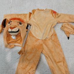 Lion King/Lion's Guard Kion Halloween Costume 