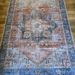 Washable Area Rugs
