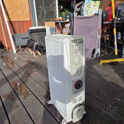 Delonghi Radiator Heater