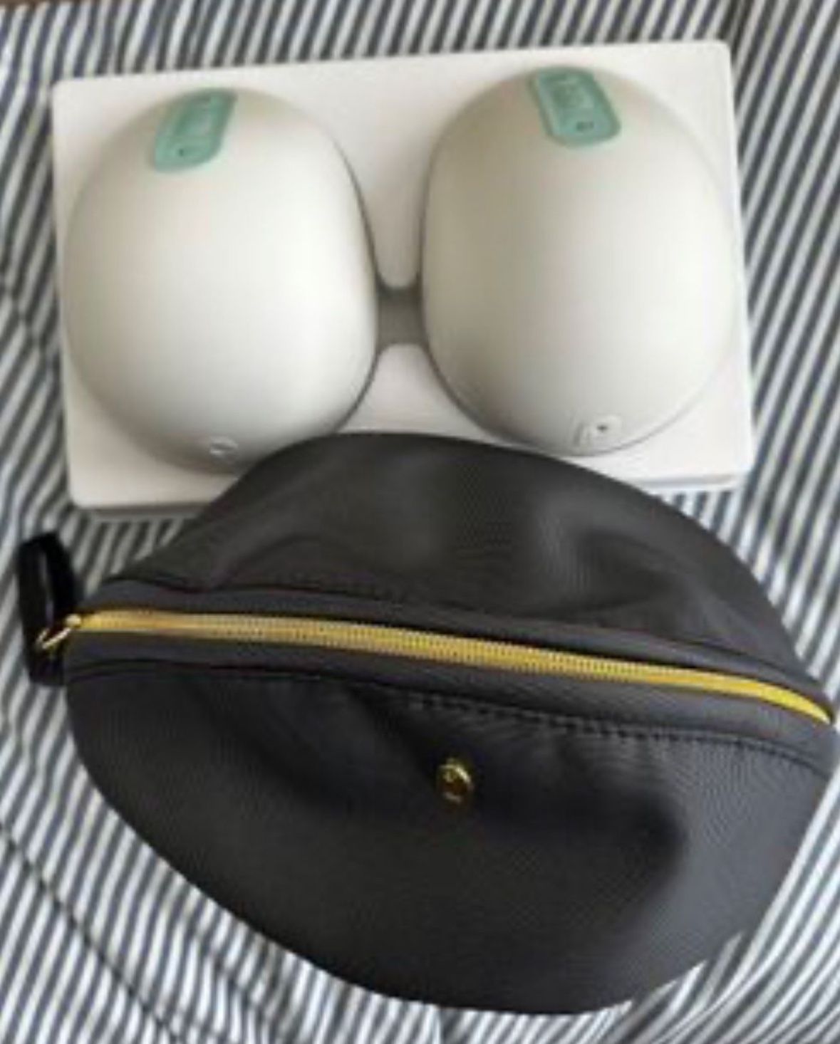 Willow 3.0 Double Breast Pump 