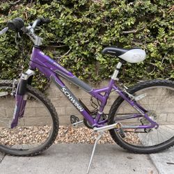Schwin SX 2000