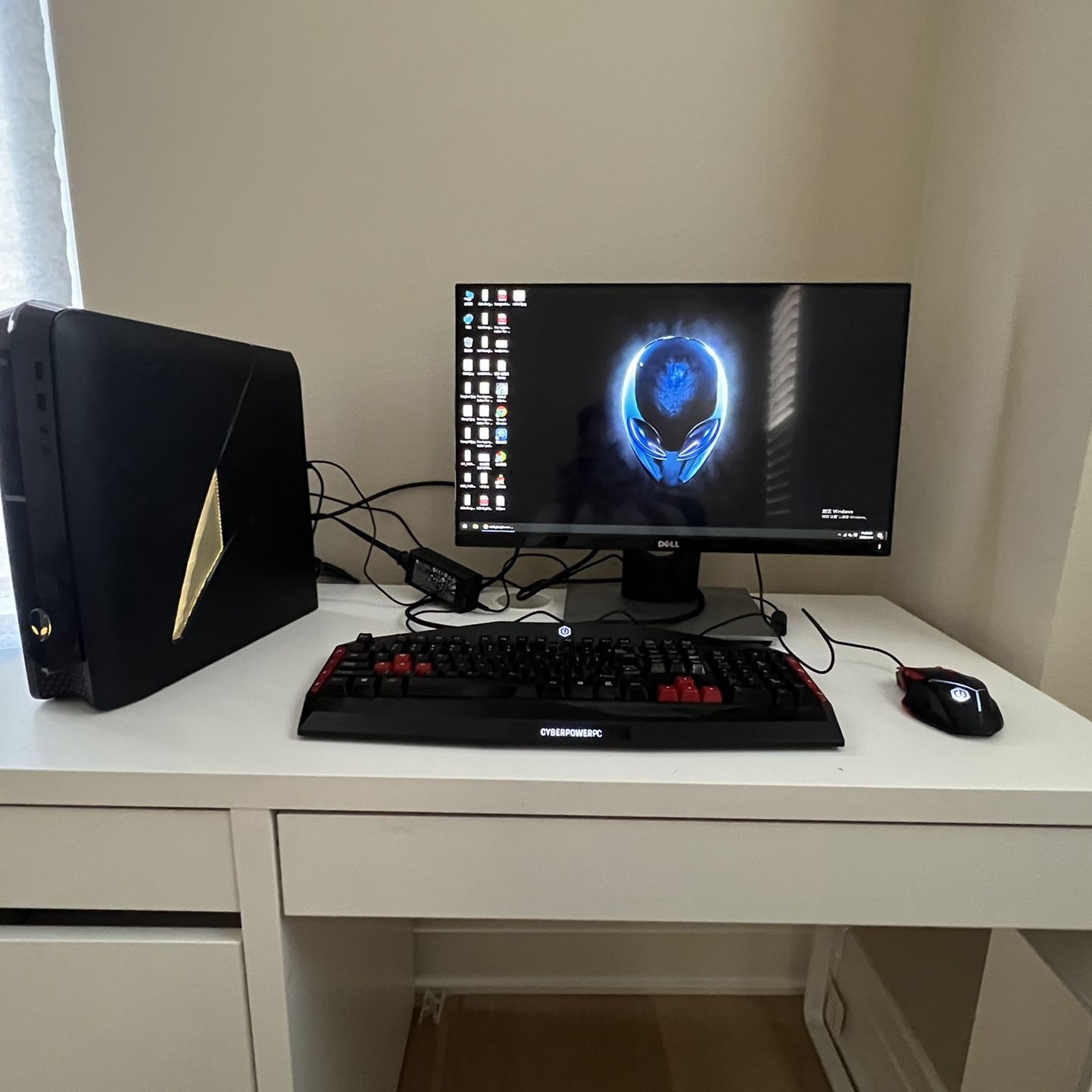 Image #1