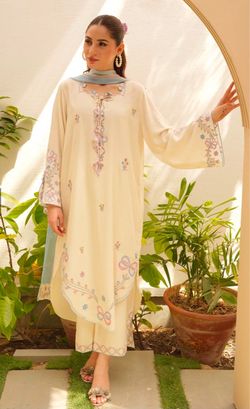 Desi outfit