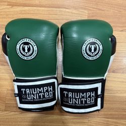 14oz Adult MMA Gloves 