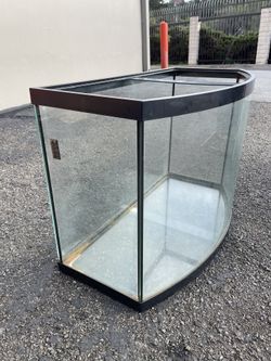 CONCAVE AQUARIUM 