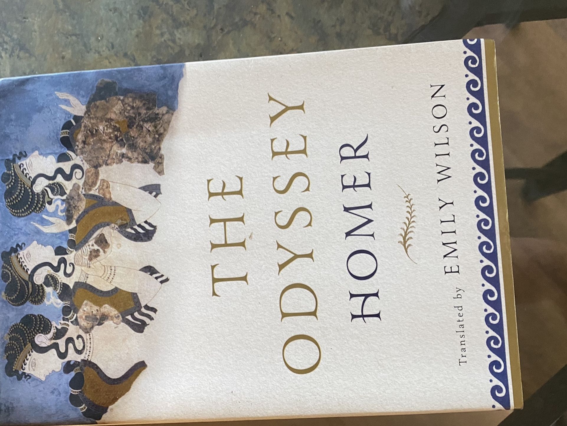 The Odyssey By Homer Translated By Emily Wilson
