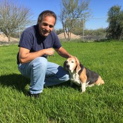 Quality Dog Boarding 