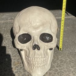 Halloween- Large Skeleton Head