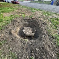 Stumps?