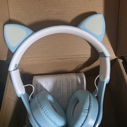 Light Up Ear Headphones 