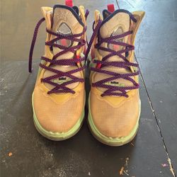 LeBron 19s “Valentines Day” 10.5 Men’s