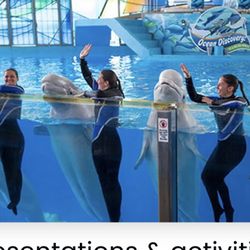 Seaworld San Antonio One Day Pass $25