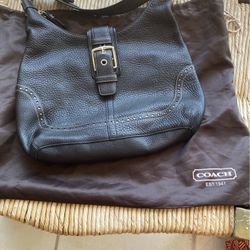 The Perfect Size Coach Bag