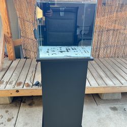 10 Gallon Rimless Cube Aquarium