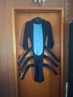 Costume spider