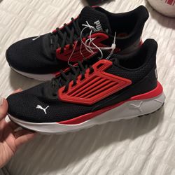 Puma Size