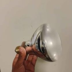 All In One Reptile Light 