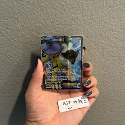 Raikou EX- Dark Explorers