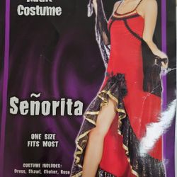 Flamenco/Señorita Costume