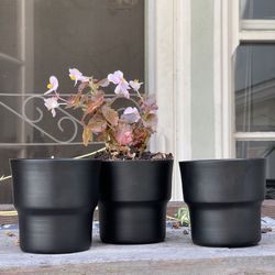 Set of 3 Modern Black Metal Planters - Minimalist Style