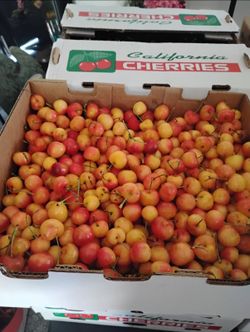 9416 Hickock drive Stockton CA just drive by folks we have plenty boxes of cherries 25.00 box
