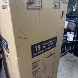 75 Gallon Natural Gas Water W