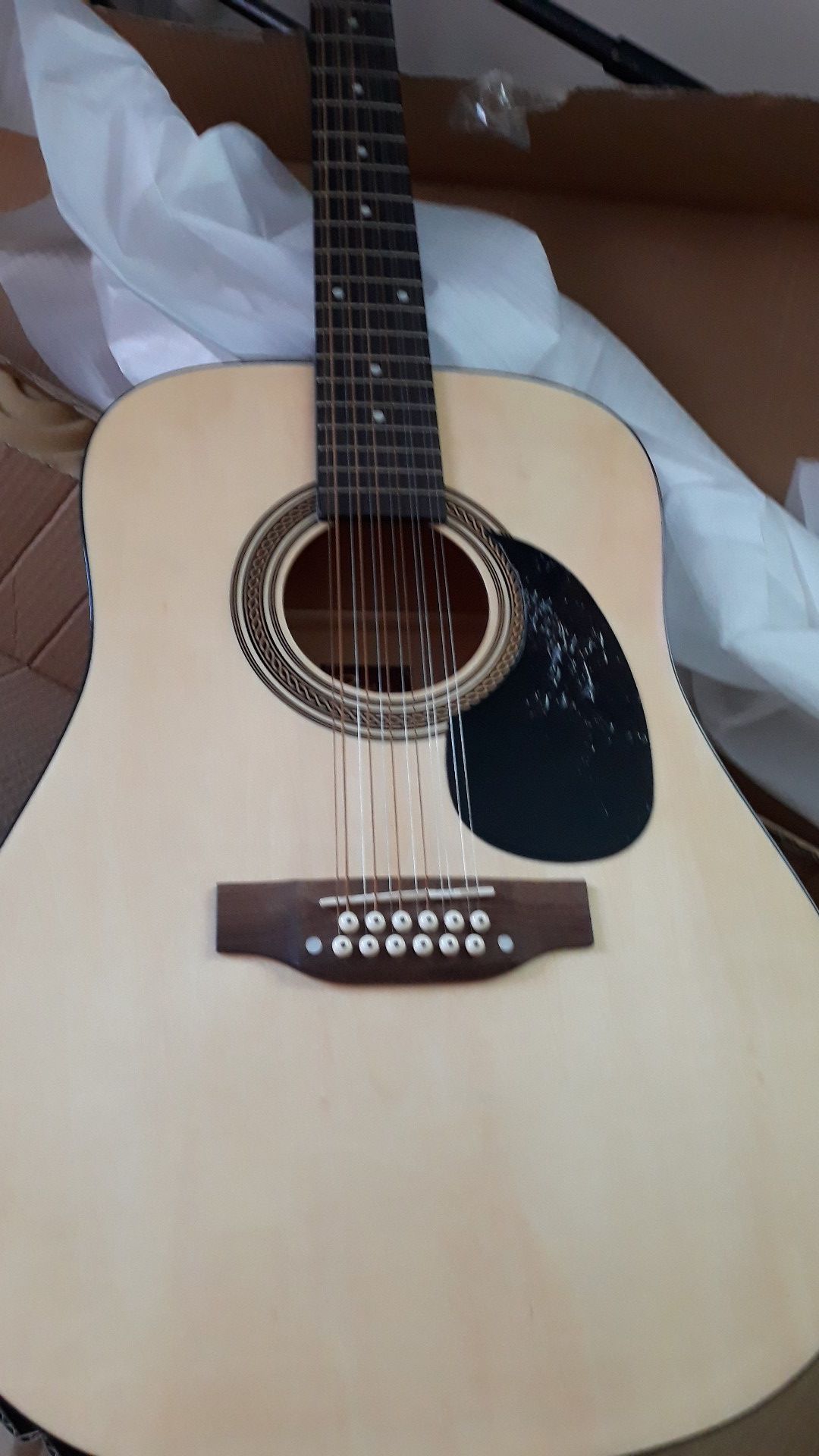 Guitar acoustic 12 string