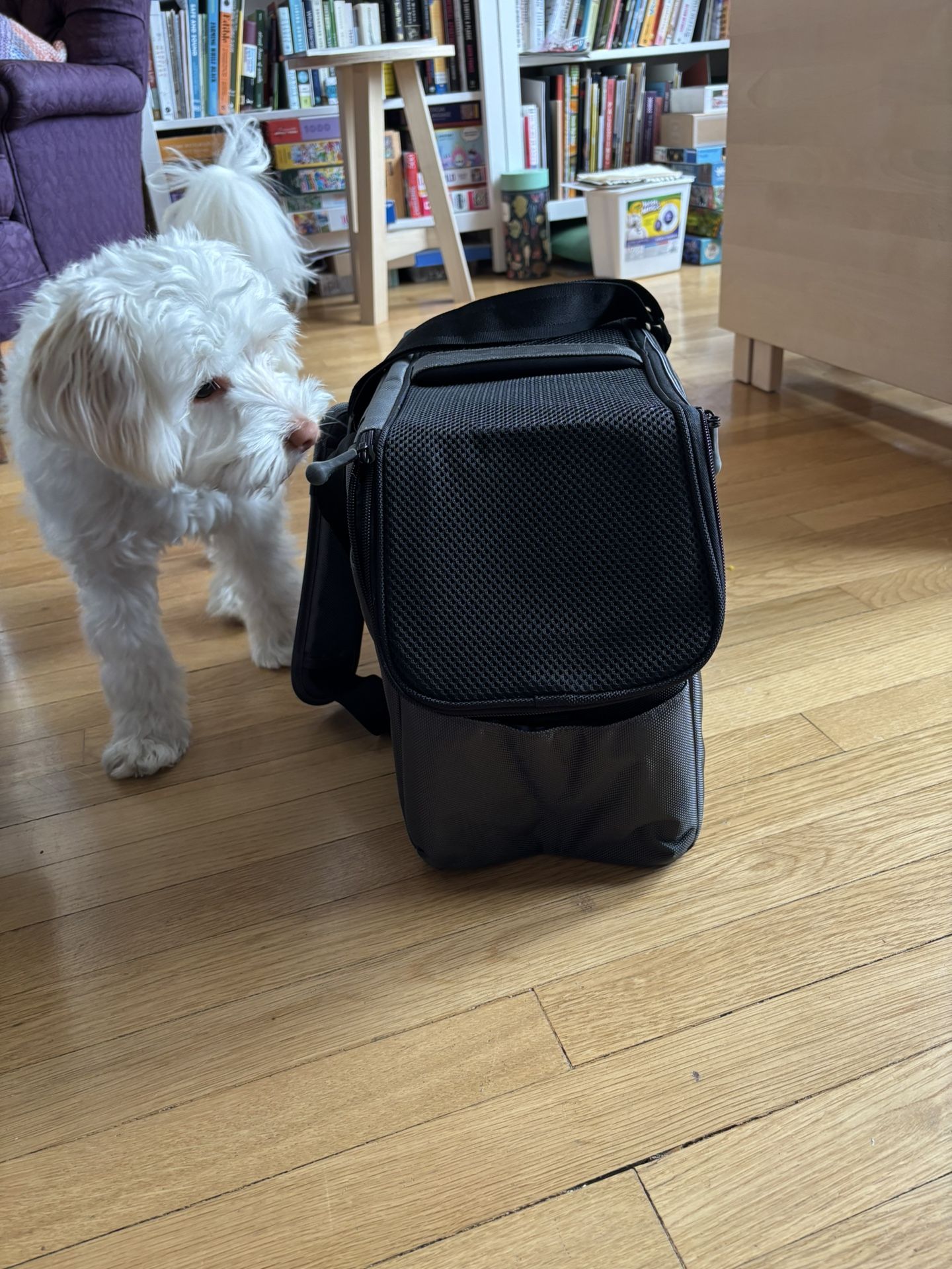 Sleepypod Atom Pet Carrier