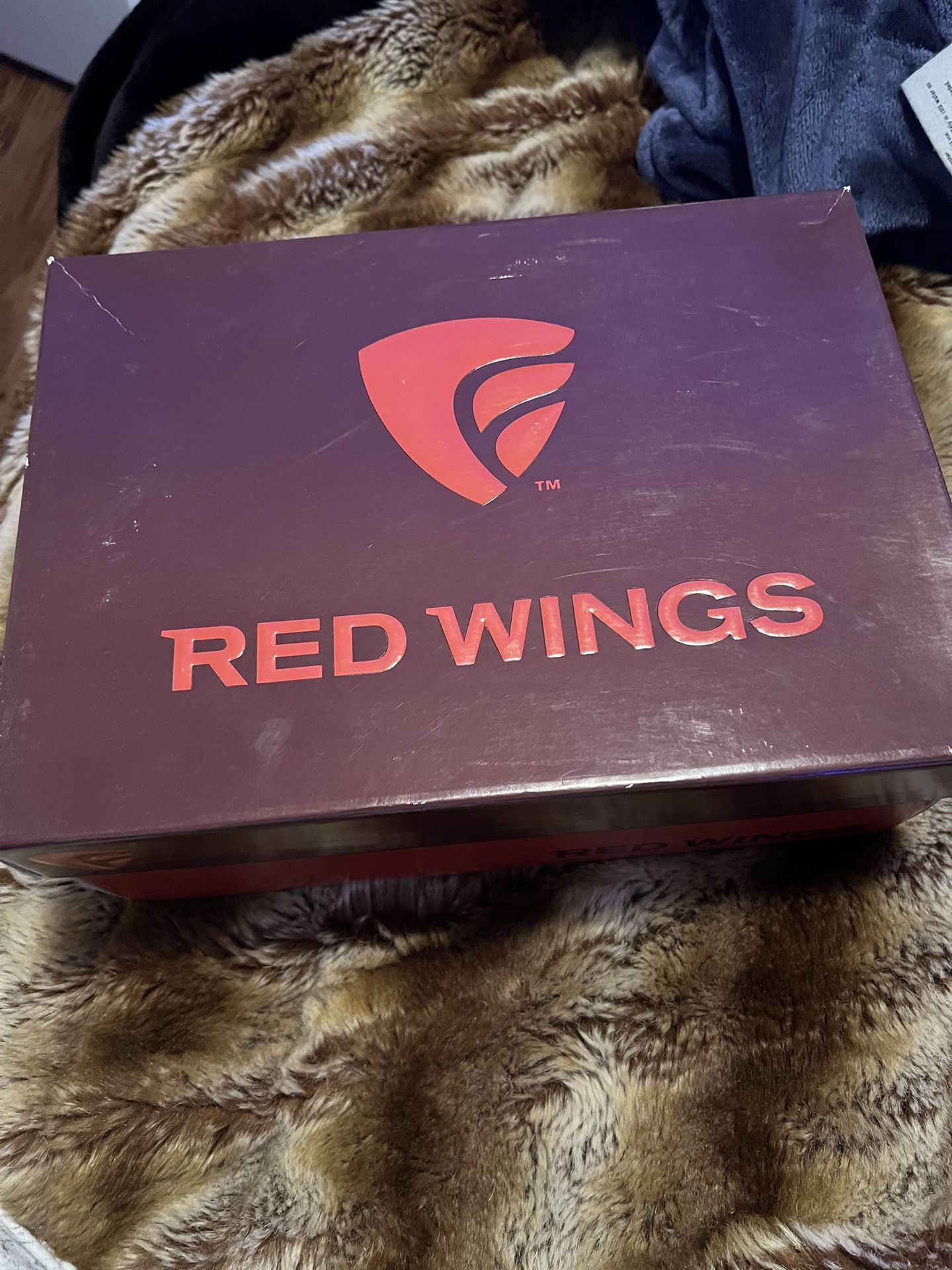 Red Wing Boots (shoes)