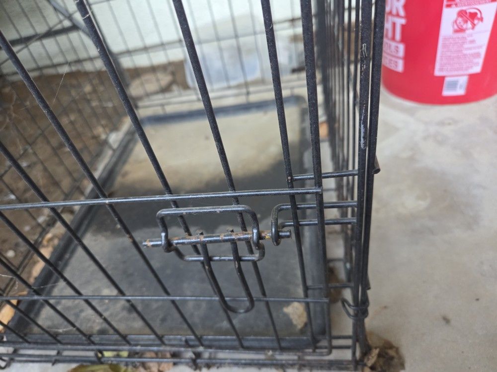 Dog Cage 