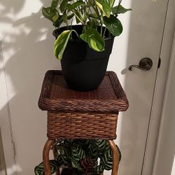 Mid Century Hand Woven Wicker Rattan Bamboo Displaying Plant Stand