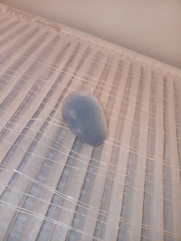 Beauty.
Blenders.
