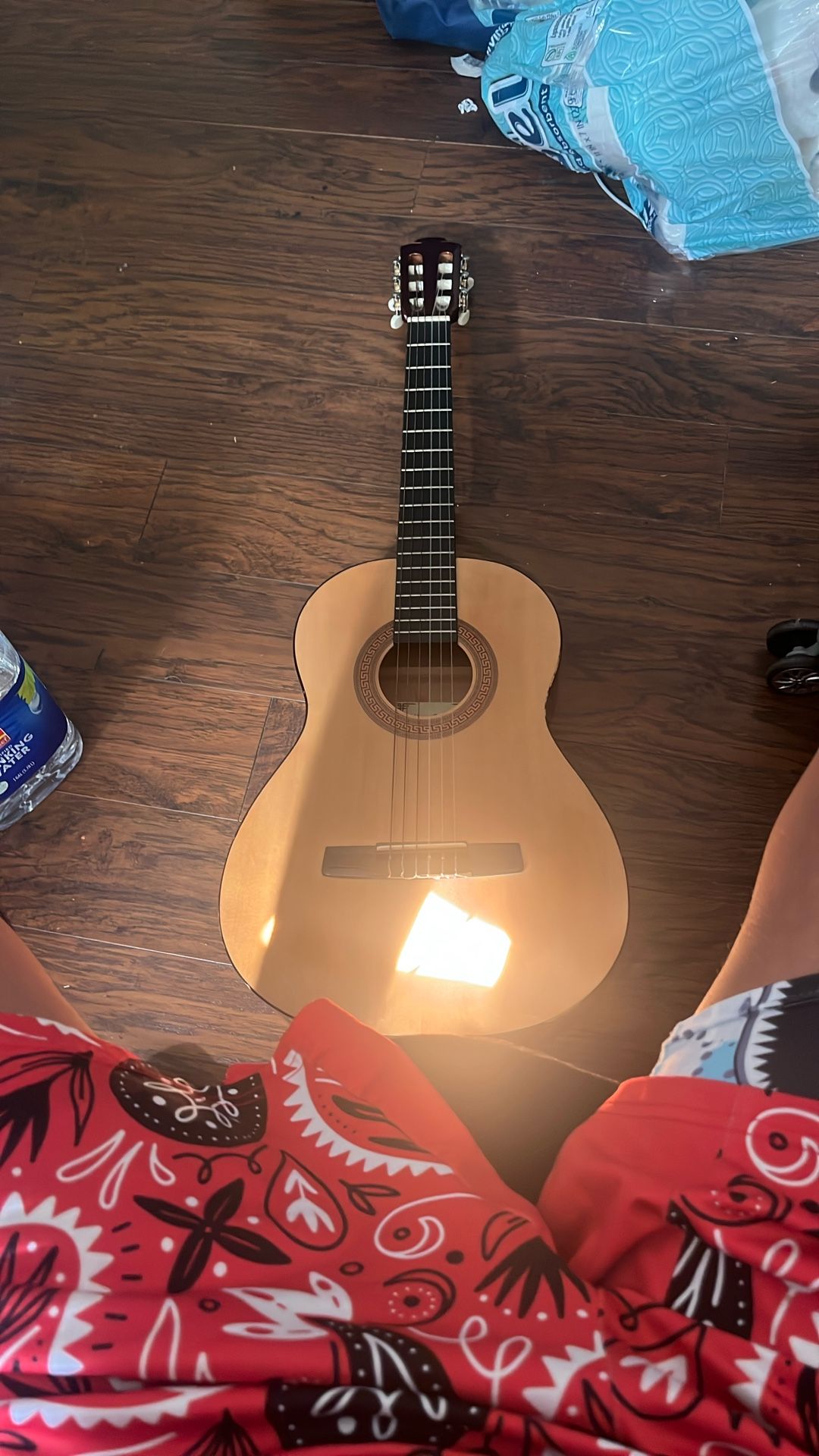 Guitar