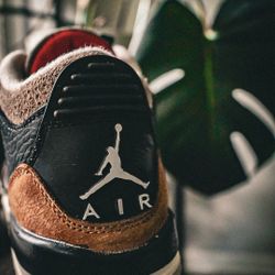 Jordan 3s “ Desert Elephant” GS