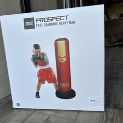 Kid Punching Bag