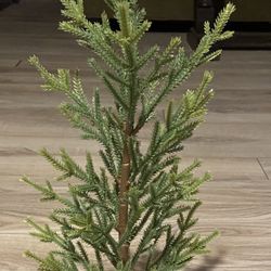 New 🌲  Decorative Life Like Trees 🌲 