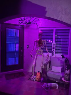 6ft Grim Skeleton Animatronic