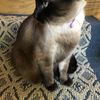 Lena