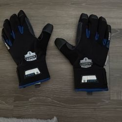 Ergodyne Gloves 