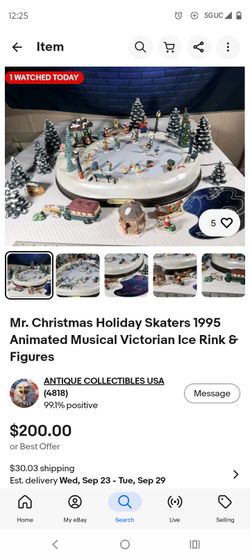 Holiday skaters