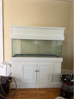75 gallon tank with stand/canopy