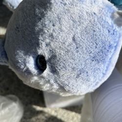 Stuffed animals 