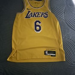 LeBron # 6 Lakers Hoodie 