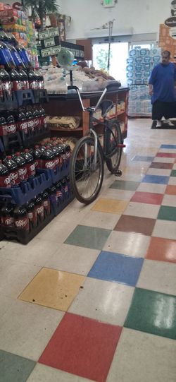 Adult Cruiser Bicycle